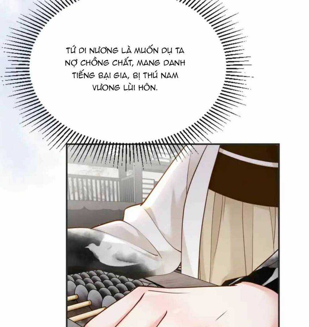 Phú Bà Xuyên Không : Thế Tử Không Dễ Lừa Gạt Chapter 26 trang 13