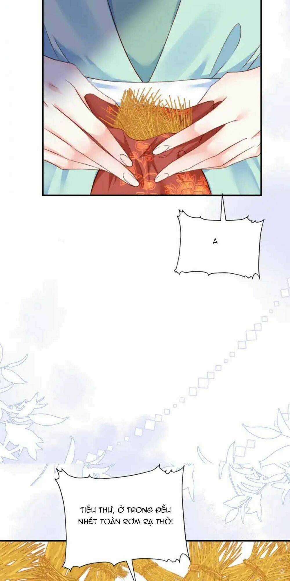 Phú Bà Xuyên Không : Thế Tử Không Dễ Lừa Gạt Chapter 9 trang 17