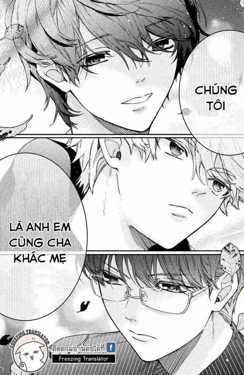 Phu Nhân Của Yakuza Chapter 7 trang 35