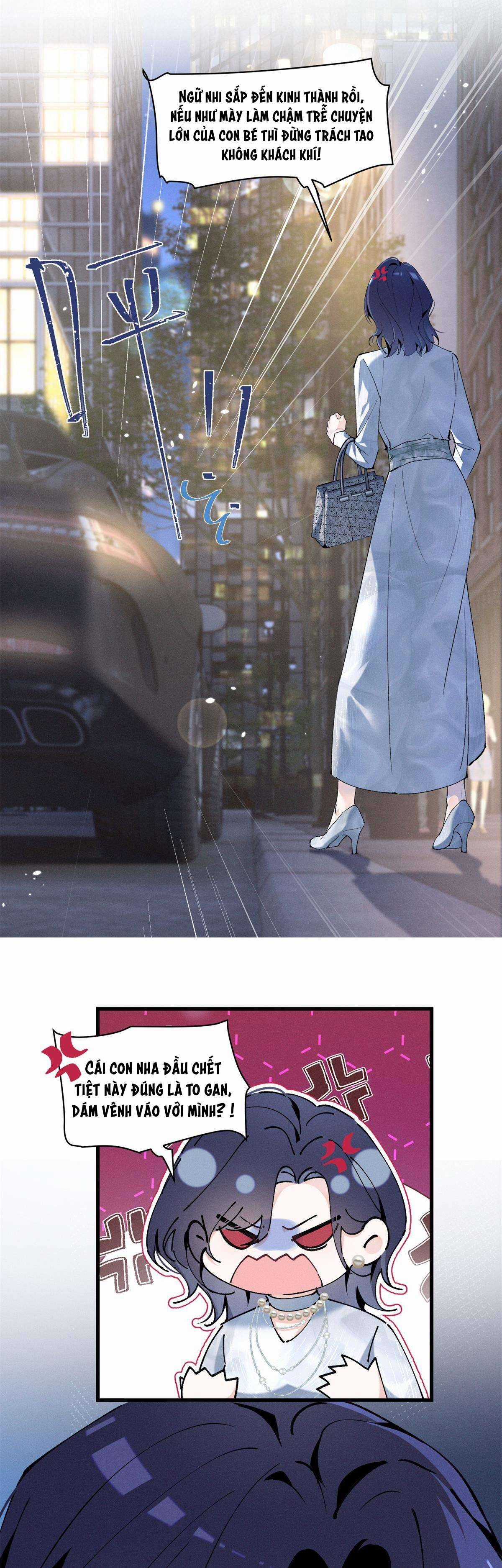 Phu Nhân, Thân Phận Của Người Lộ Rồi Chapter 8 trang 10