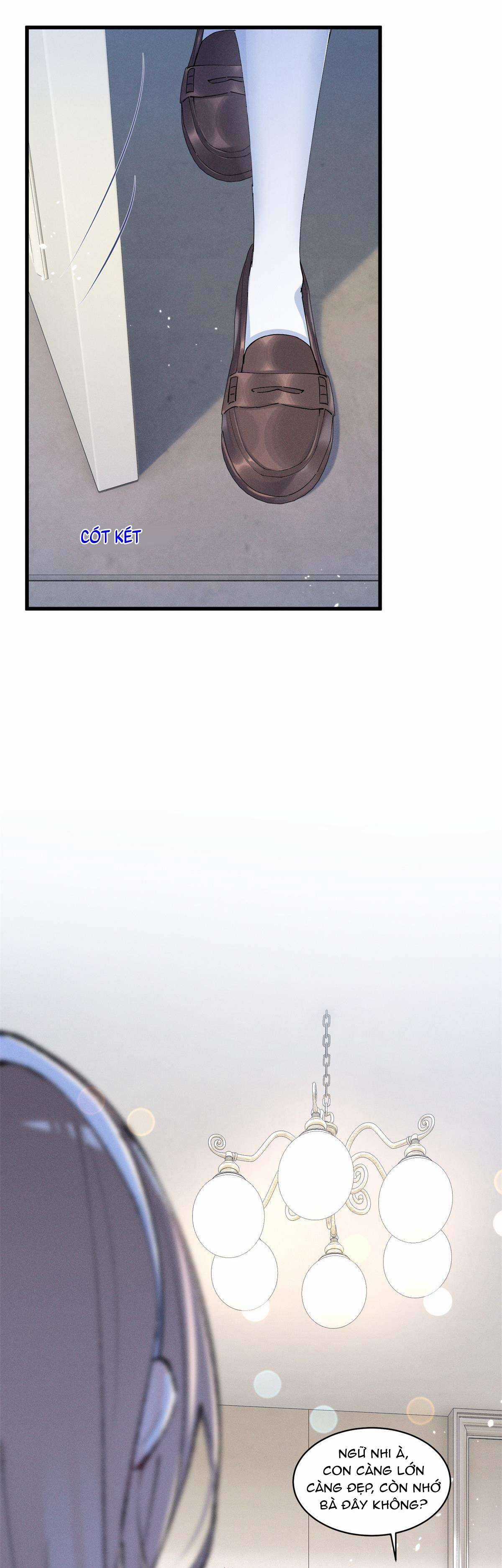 Phu Nhân, Thân Phận Của Người Lộ Rồi Chapter 9 trang 19