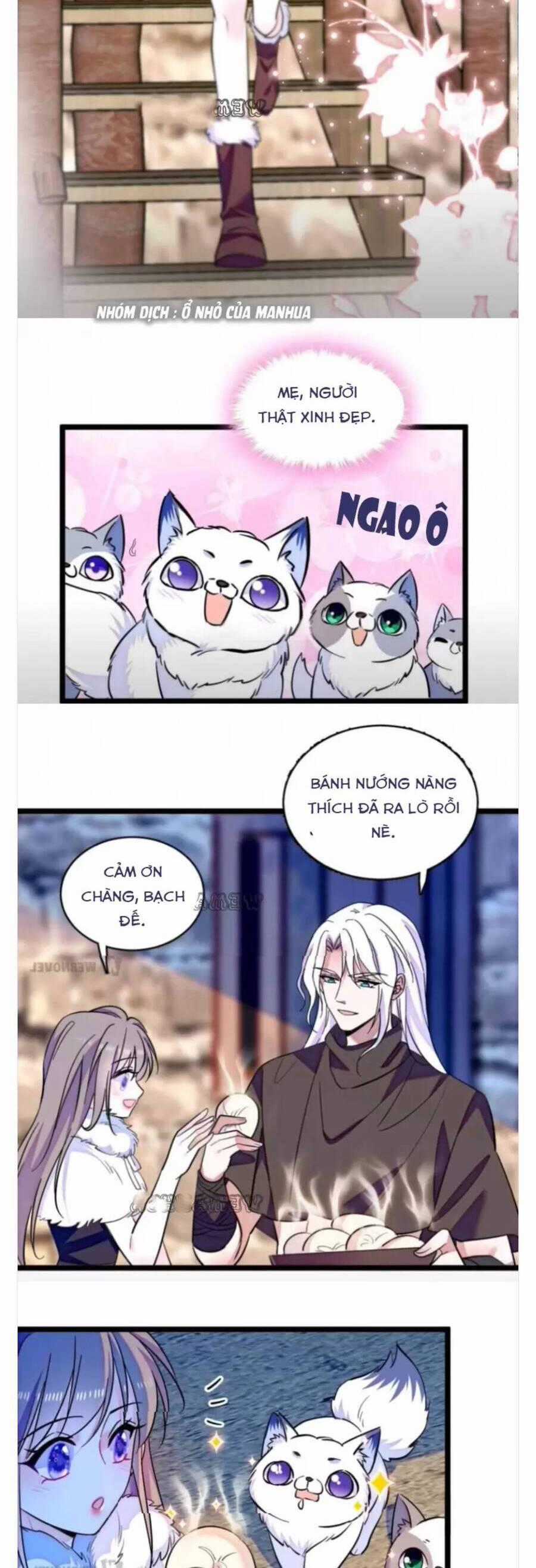 Phu Nhân , Thân Phận Thật Của Người Sắp Lộ Rồi Chapter 345 trang 1