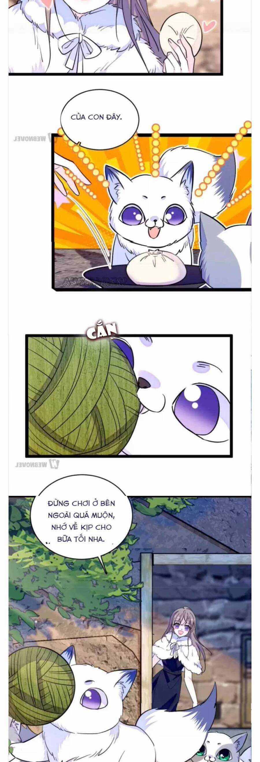 Phu Nhân , Thân Phận Thật Của Người Sắp Lộ Rồi Chapter 345 trang 3