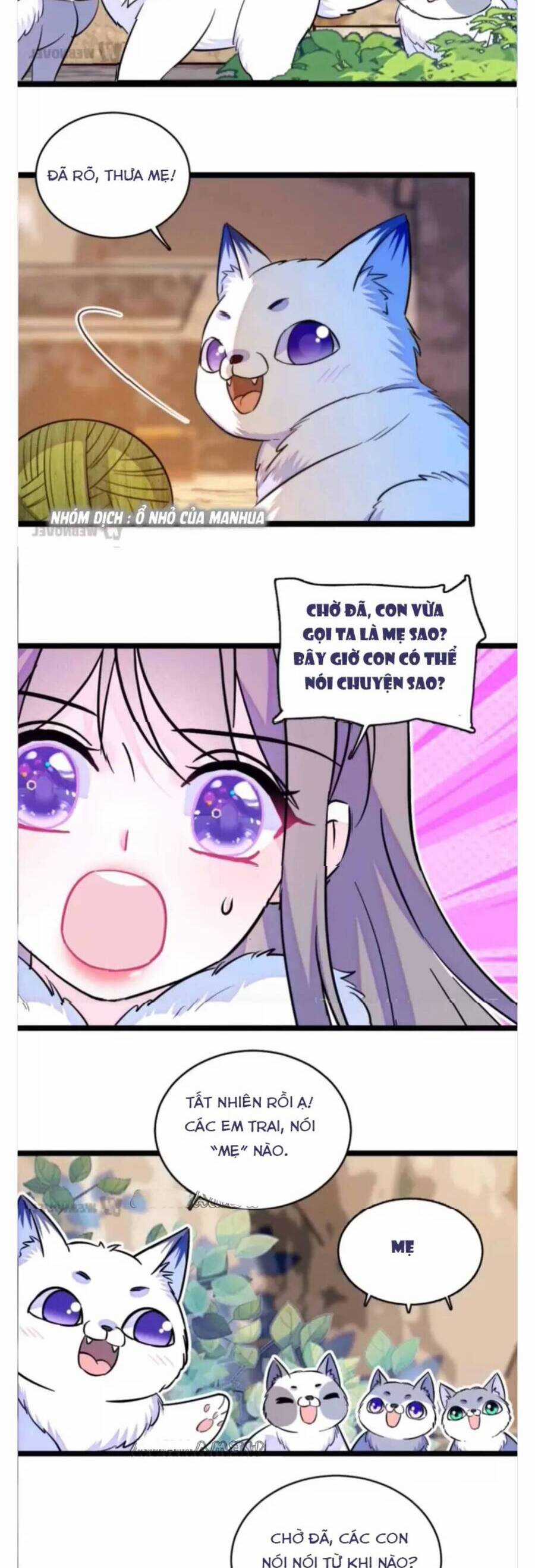 Phu Nhân , Thân Phận Thật Của Người Sắp Lộ Rồi Chapter 345 trang 4