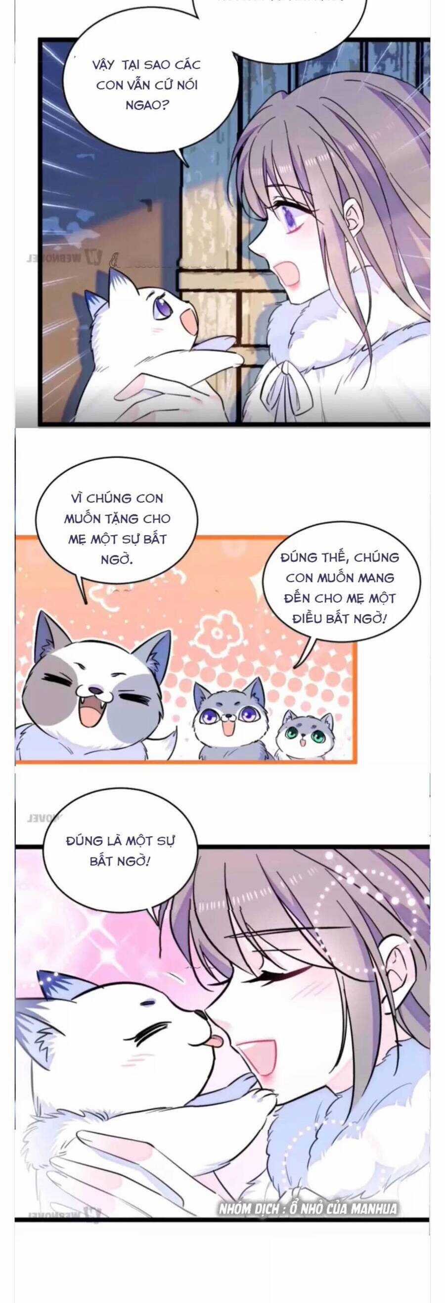 Phu Nhân , Thân Phận Thật Của Người Sắp Lộ Rồi Chapter 345 trang 5