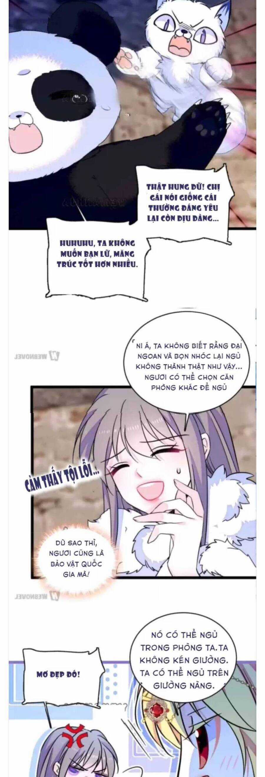 Phu Nhân , Thân Phận Thật Của Người Sắp Lộ Rồi Chapter 349 trang 5