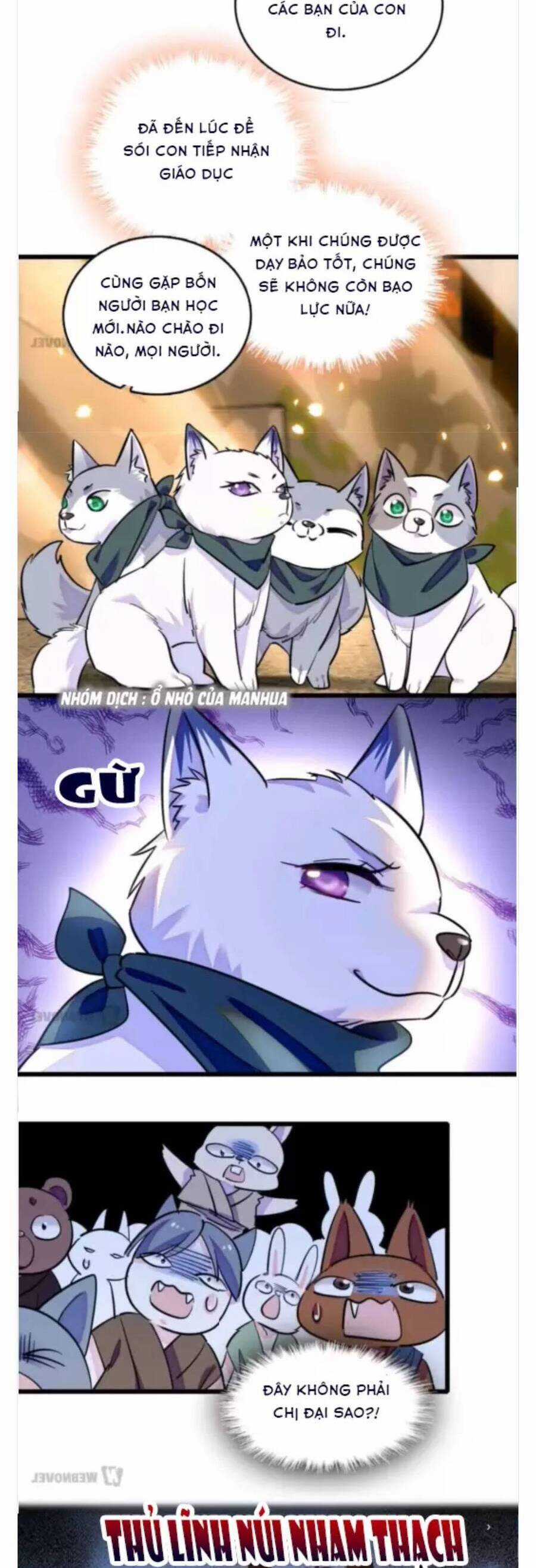 Phu Nhân , Thân Phận Thật Của Người Sắp Lộ Rồi Chapter 351 trang 3