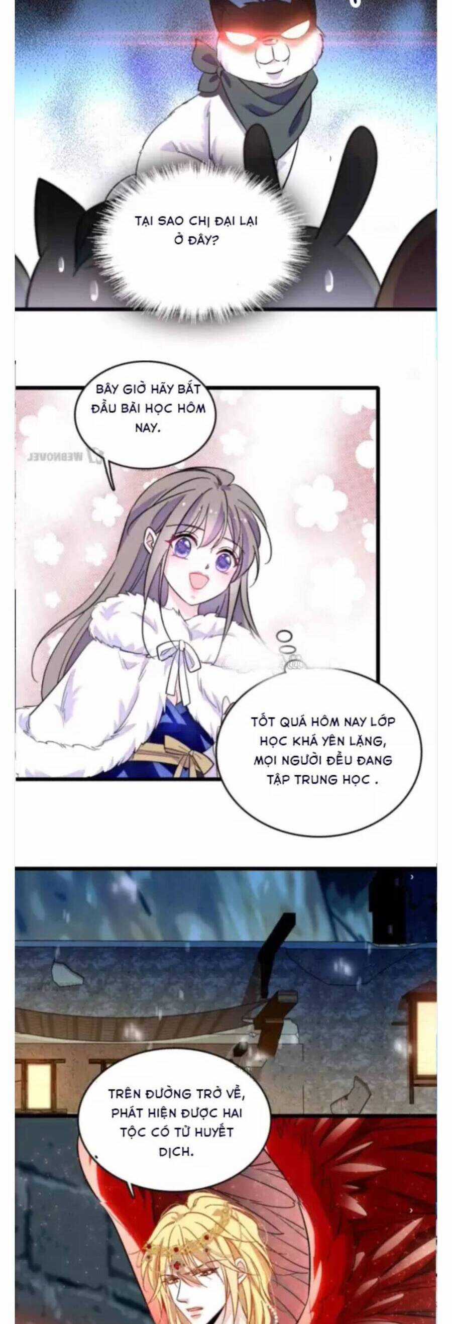 Phu Nhân , Thân Phận Thật Của Người Sắp Lộ Rồi Chapter 351 trang 4