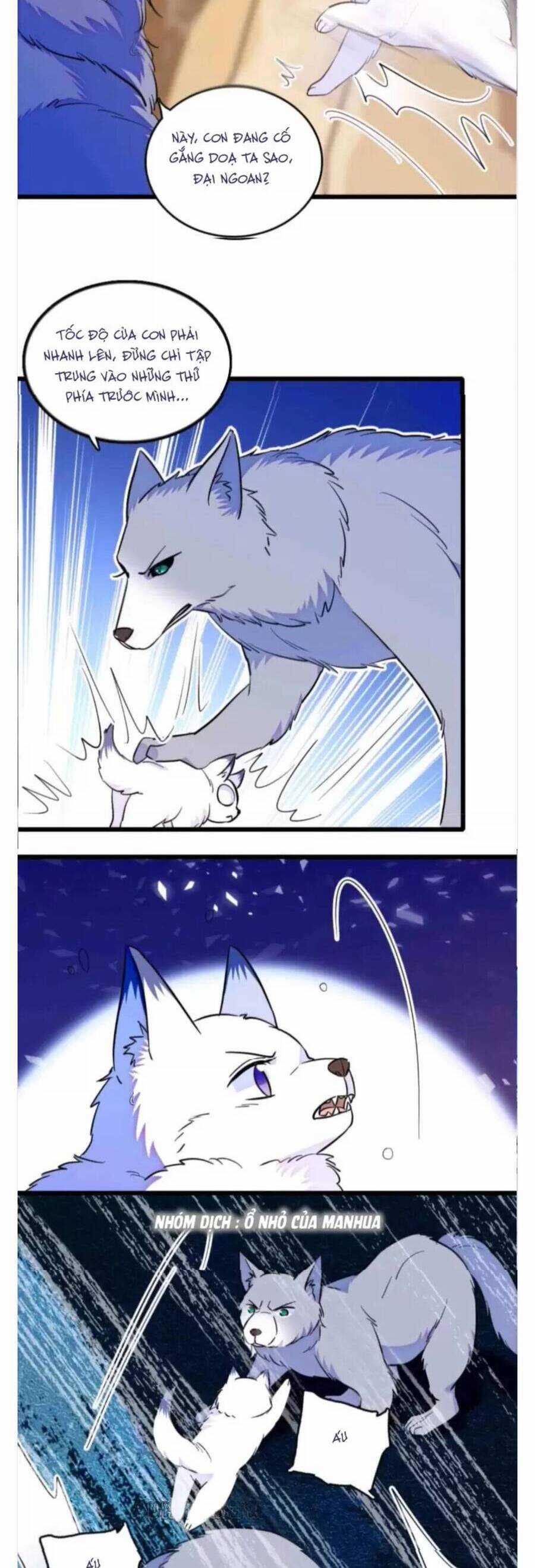 Phu Nhân , Thân Phận Thật Của Người Sắp Lộ Rồi Chapter 357 trang 4