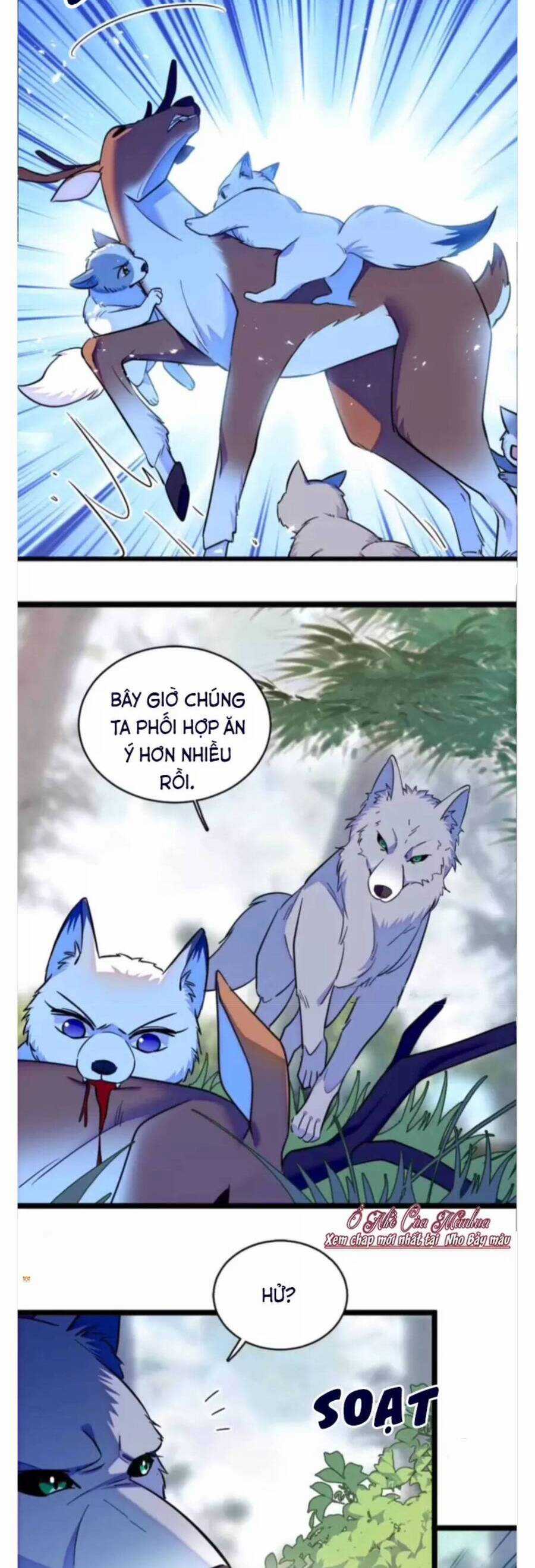 Phu Nhân , Thân Phận Thật Của Người Sắp Lộ Rồi Chapter 381 trang 2