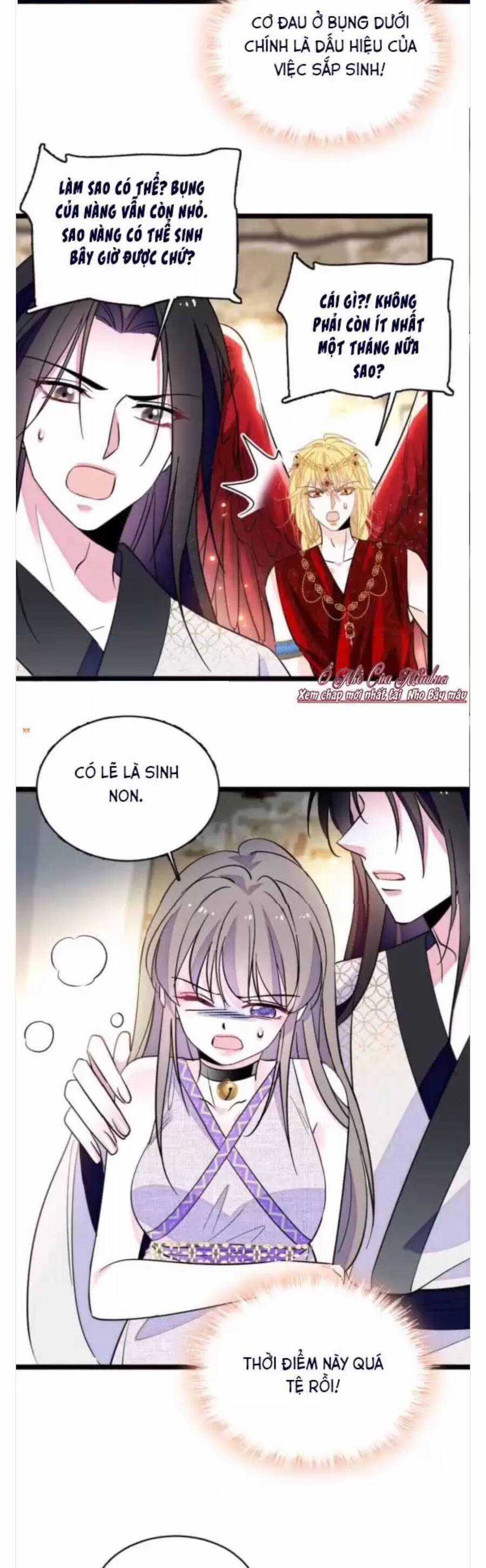 Phu Nhân , Thân Phận Thật Của Người Sắp Lộ Rồi Chapter 383 trang 12