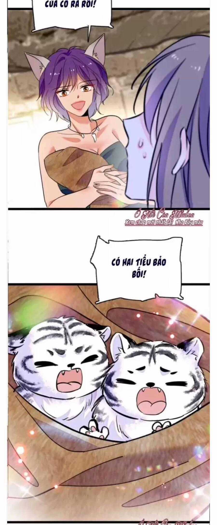 Phu Nhân , Thân Phận Thật Của Người Sắp Lộ Rồi Chapter 384 trang 12