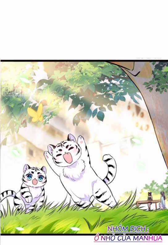 Phu Nhân , Thân Phận Thật Của Người Sắp Lộ Rồi Chapter 407 trang 11