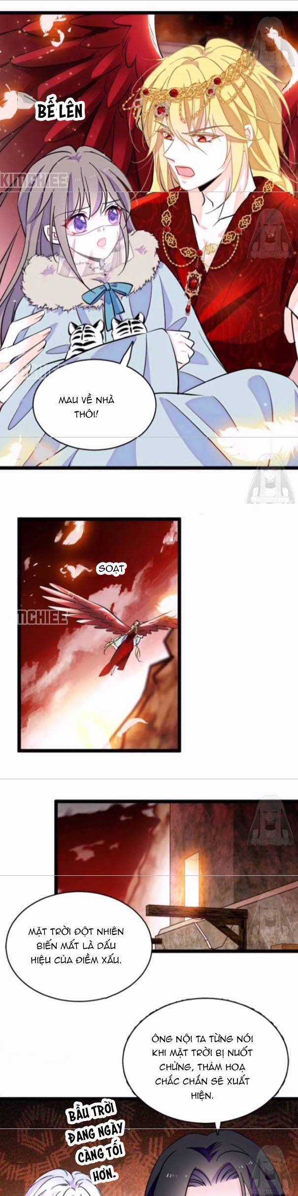 Phu Nhân , Thân Phận Thật Của Người Sắp Lộ Rồi Chapter 408 trang 5