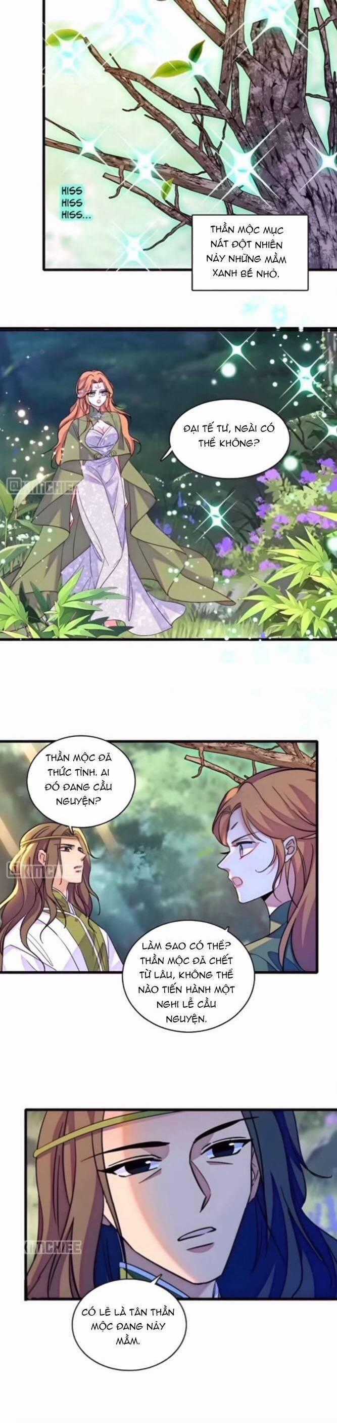 Phu Nhân , Thân Phận Thật Của Người Sắp Lộ Rồi Chapter 411 trang 8