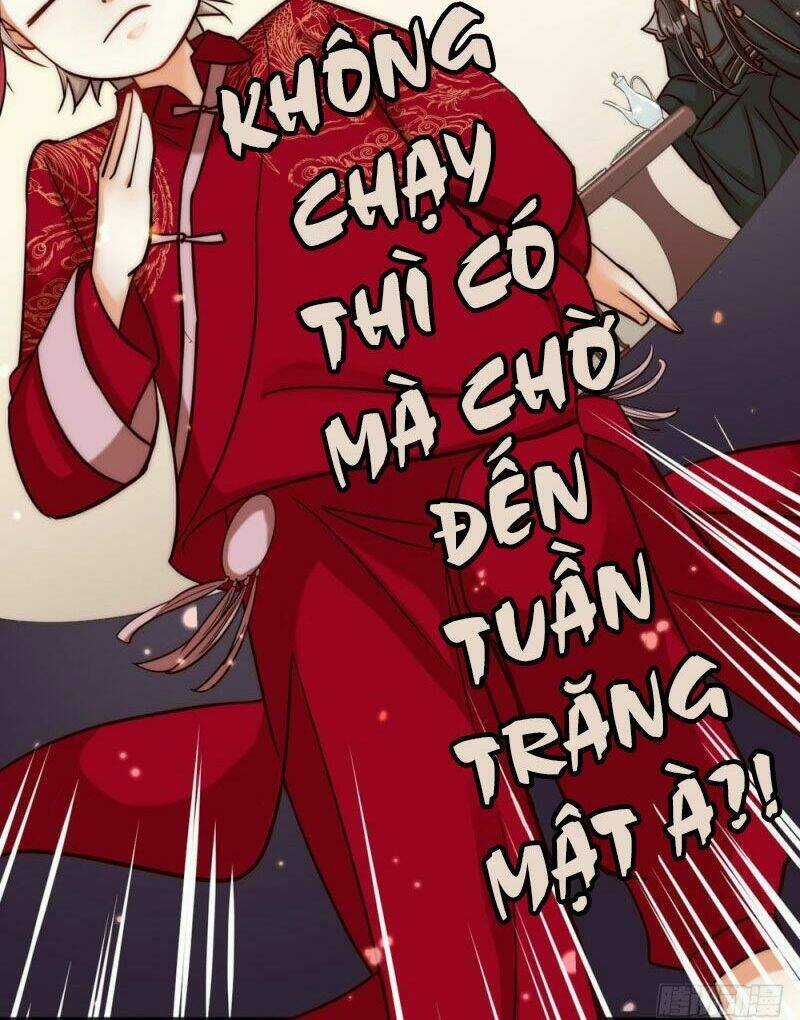 Phu Phu Khuynh Thành Chapter 0 trang 17