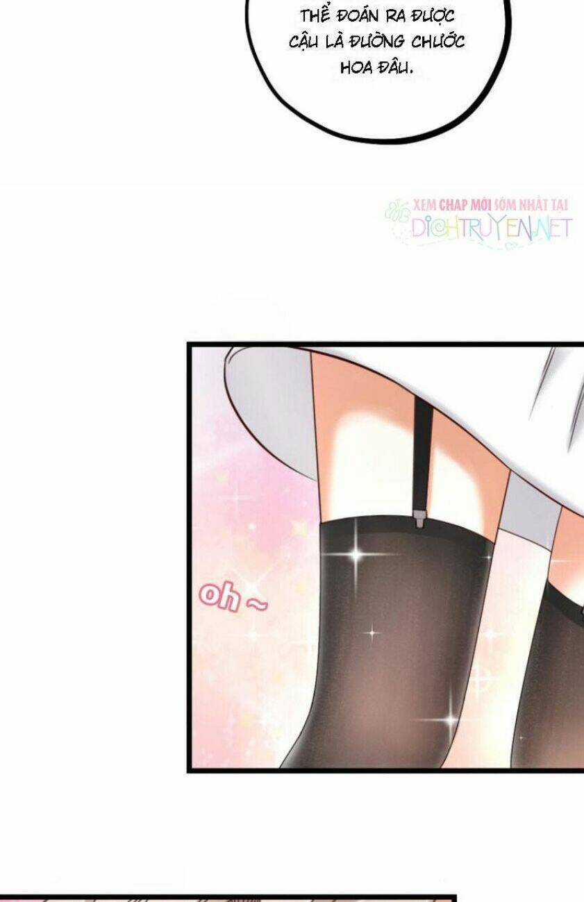 Phu Phu Khuynh Thành Chapter 17 trang 14