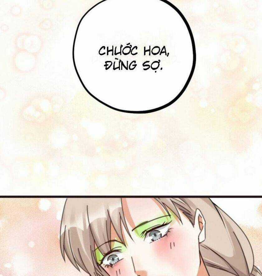 Phu Phu Khuynh Thành Chapter 17 trang 45