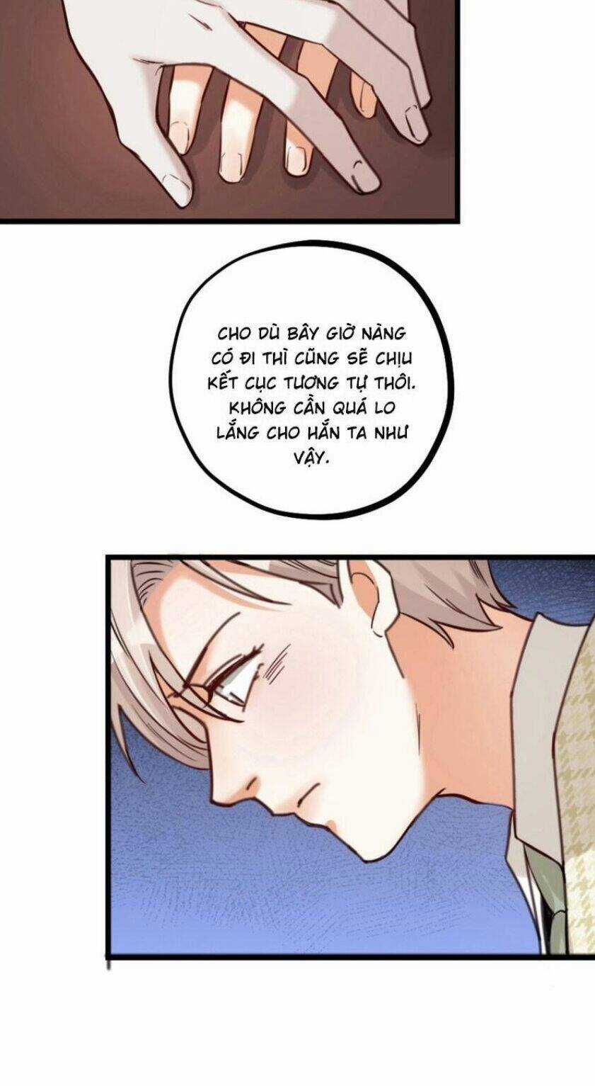 Phu Phu Khuynh Thành Chapter 19 trang 12