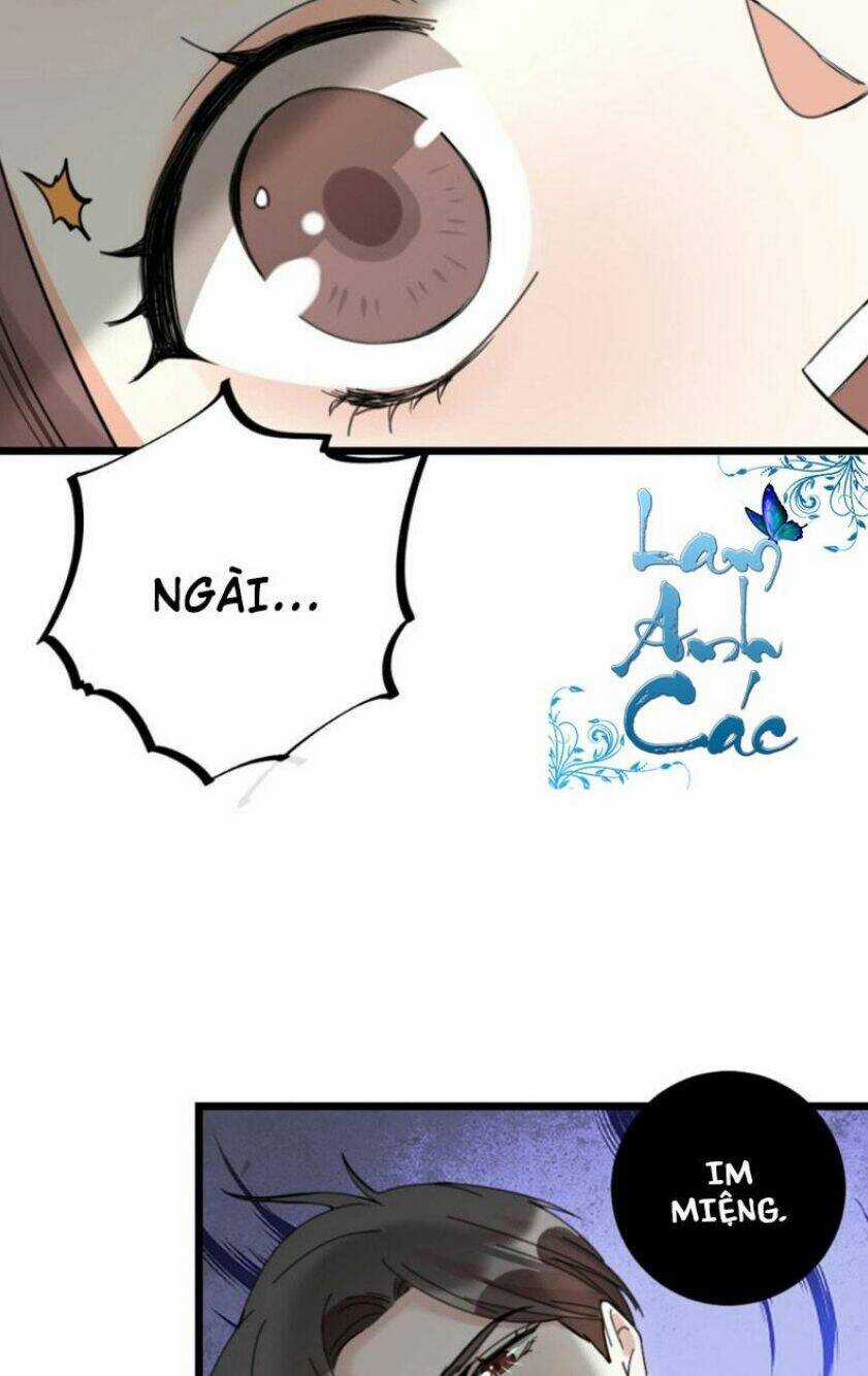 Phu Phu Khuynh Thành Chapter 19 trang 7