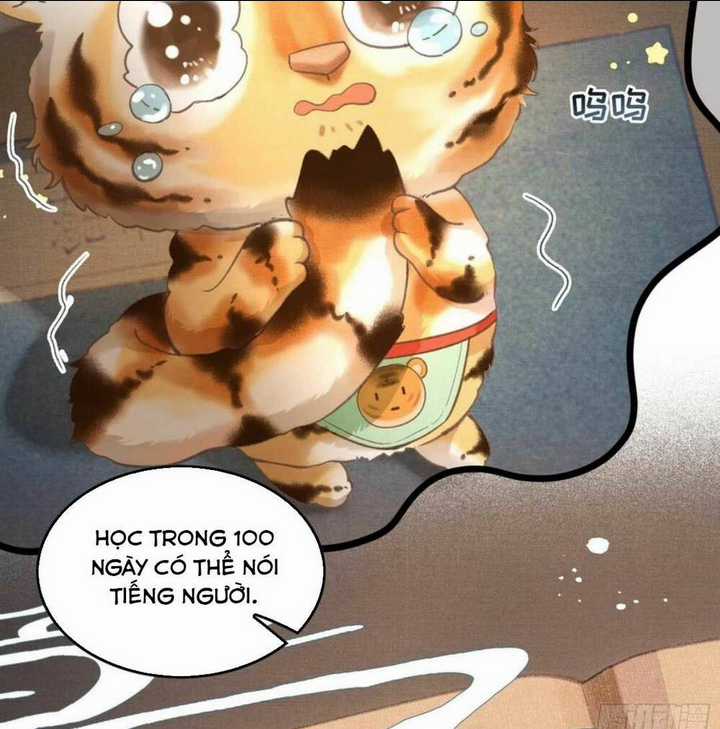 Phu Quân Giữ Thê Chapter 18 trang 5