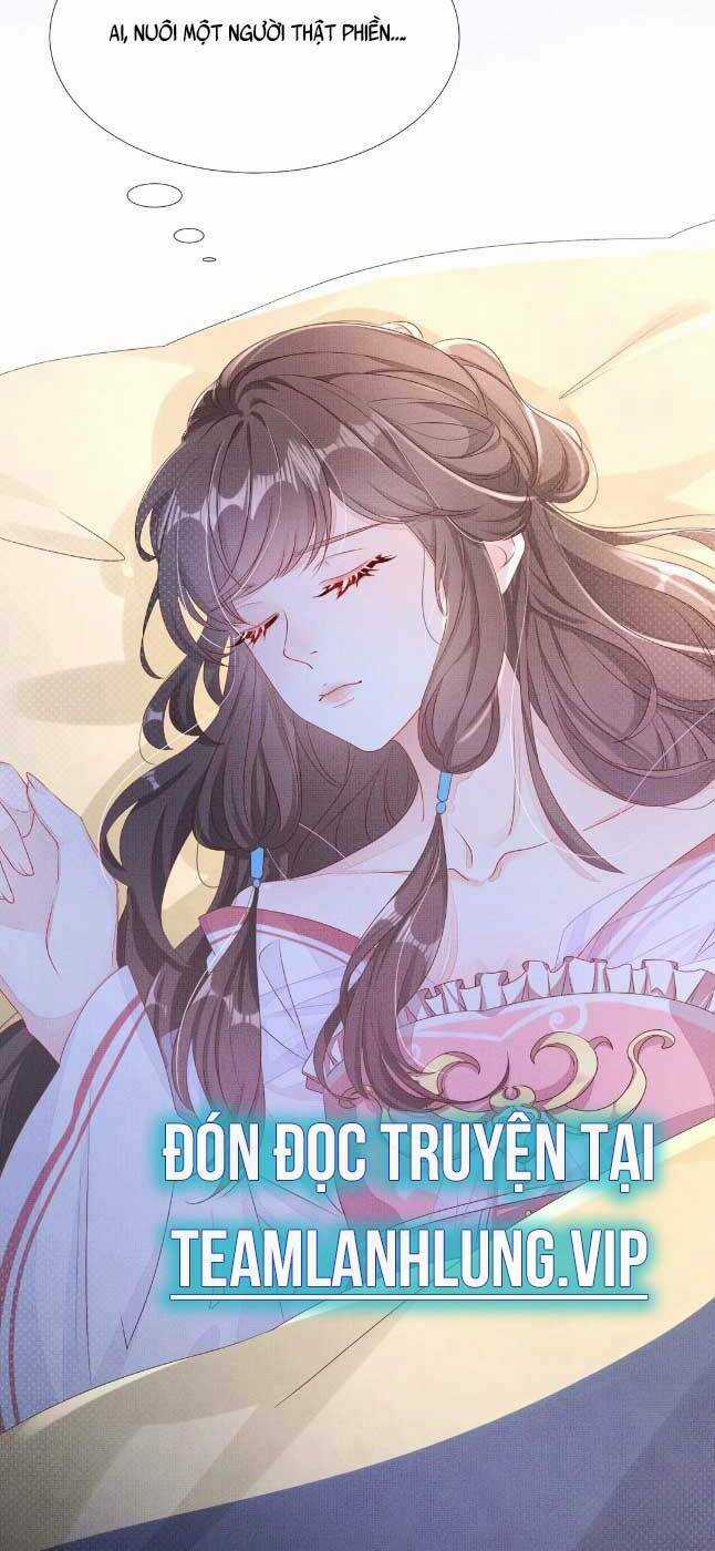 Phu Quân Ta Nhặt Được Lại Là Hắc Liên Hoa Chapter 3 trang 17