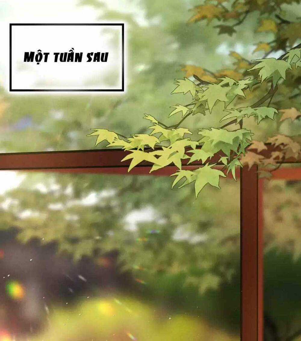 Phu Quân Ta Nuôi Từ Bé Muốn Thủ Tiêu Ta Chapter 34 trang 15