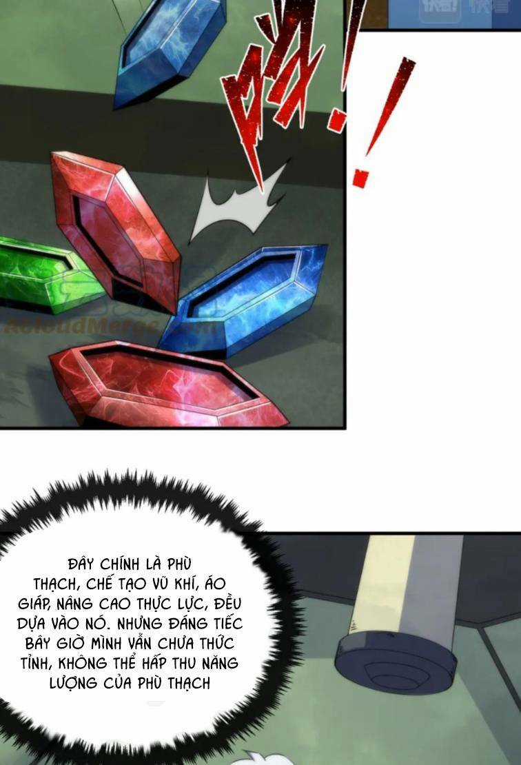 Phù Thạch Vương Giả Chapter 15 trang 11