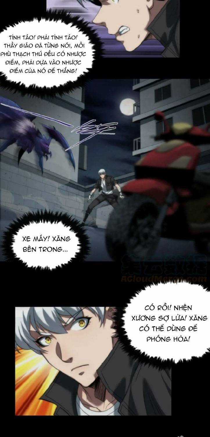 Phù Thạch Vương Giả Chapter 3 trang 20