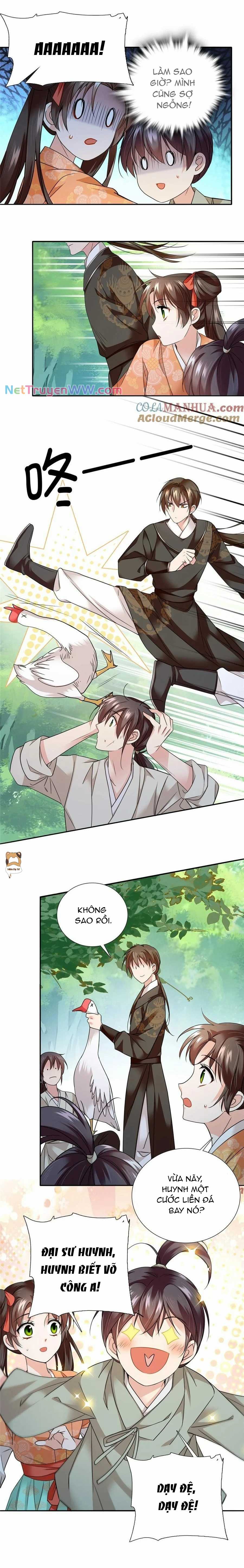 Phụ Thân Hôm Nay Người Đọc Sách Chưa? Chapter 65 trang 5