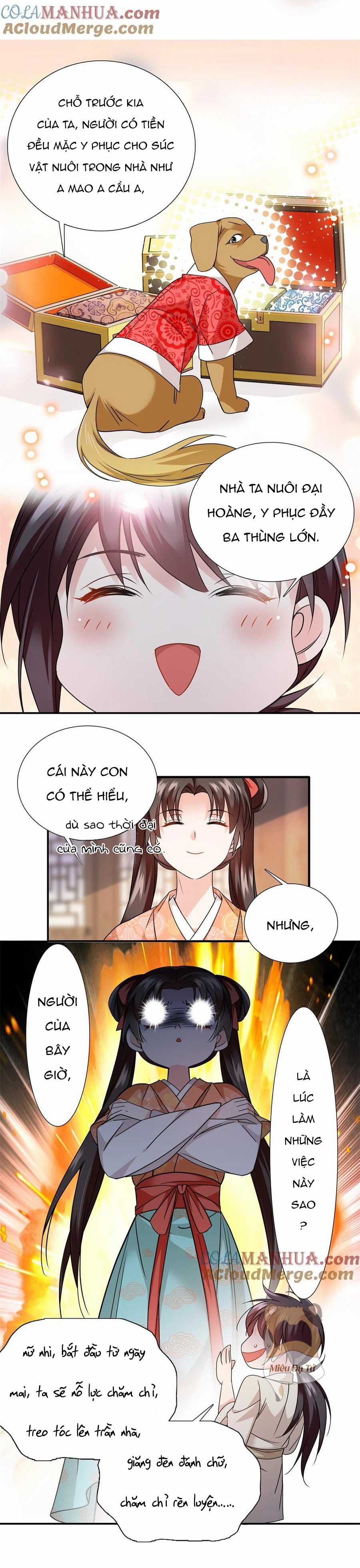 Phụ Thân Hôm Nay Người Đọc Sách Chưa? Chapter 72 trang 6