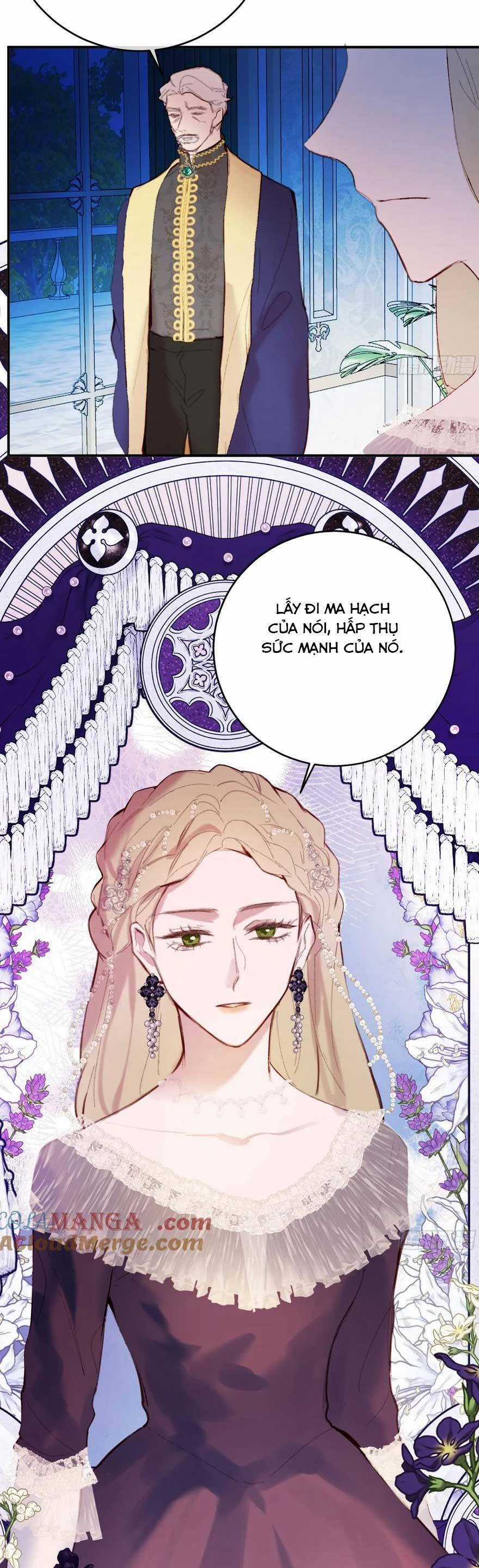 Phù Thuỷ Ác Độc Không Còn Lựa Chọn Nào Khác Ngoài Việc Trở Thành Ác Ma Chapter 24 trang 21