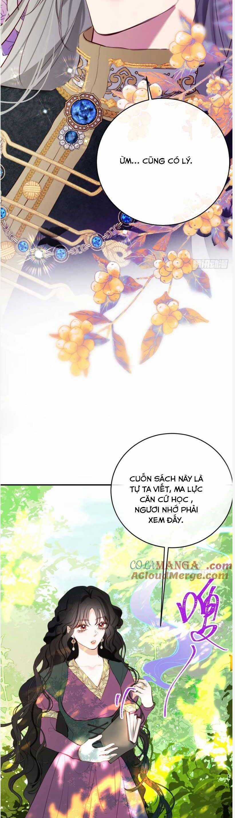 Phù Thuỷ Ác Độc Không Còn Lựa Chọn Nào Khác Ngoài Việc Trở Thành Ác Ma Chapter 25 trang 11