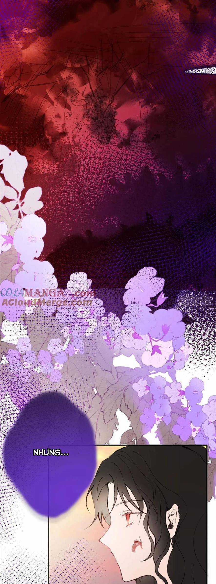 Phù Thuỷ Ác Độc Không Còn Lựa Chọn Nào Khác Ngoài Việc Trở Thành Ác Ma Chapter 29 trang 13