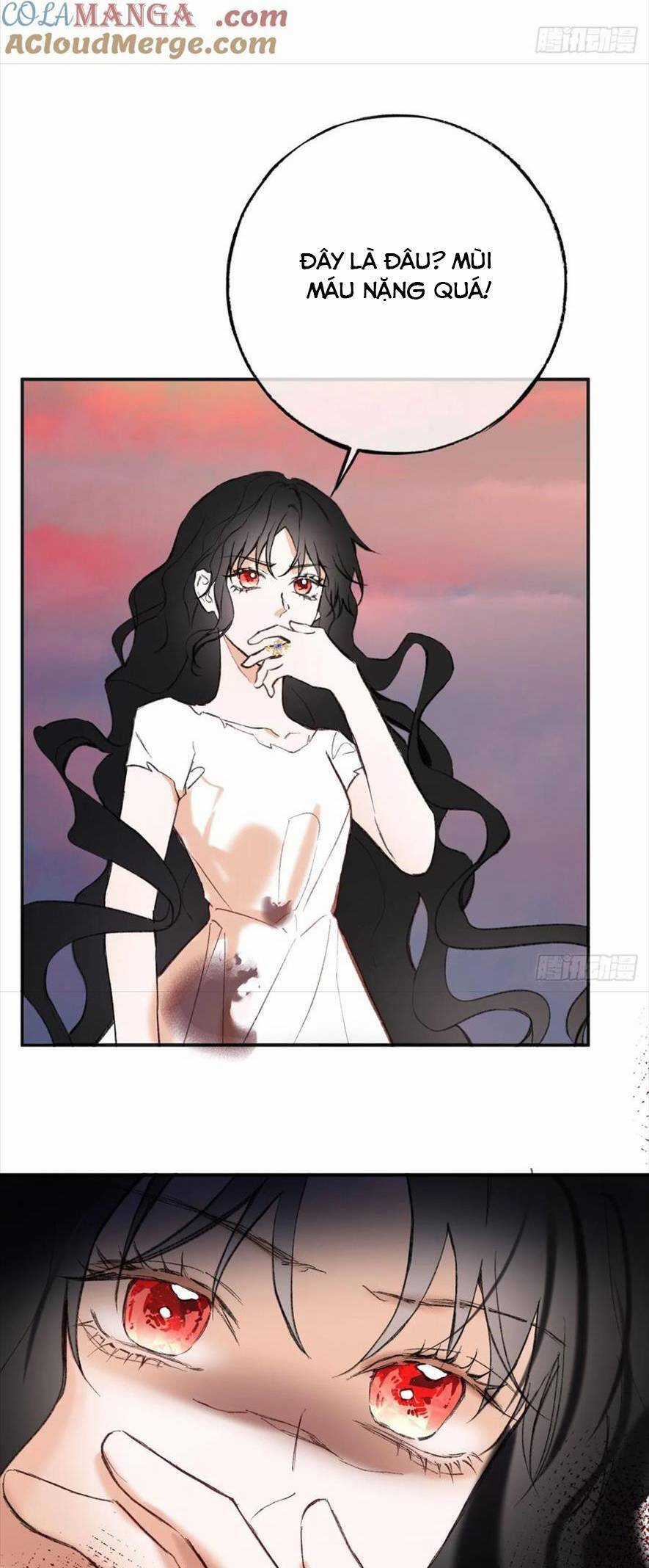 Phù Thuỷ Ác Độc Không Còn Lựa Chọn Nào Khác Ngoài Việc Trở Thành Ác Ma Chapter 29 trang 17