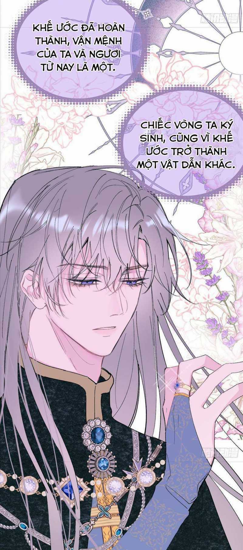 Phù Thuỷ Ác Độc Không Còn Lựa Chọn Nào Khác Ngoài Việc Trở Thành Ác Ma Chapter 7 trang 19