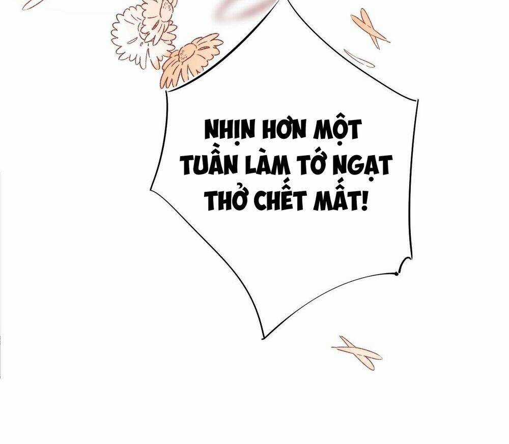 PHÙ THỦY HẠNG BÉT Chapter 14 trang 43