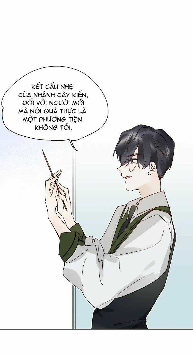 PHÙ THỦY HẠNG BÉT Chapter 3 trang 12