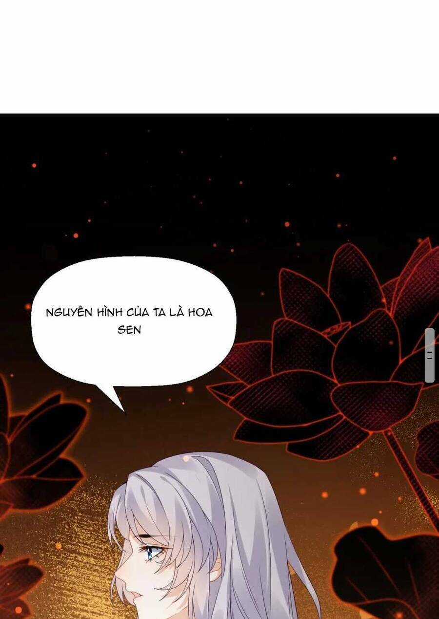 Phúc Hắc Hoa Yêu Mua Một Tặng Một Chapter 7 trang 3