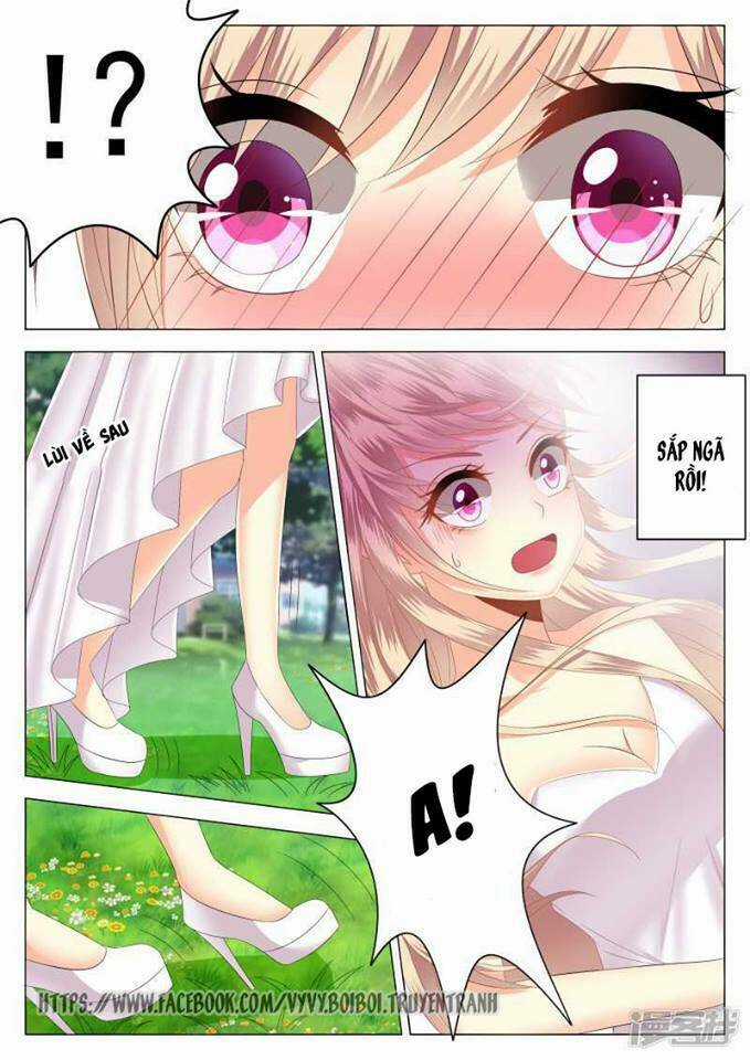 Phúc Hắc Hội Trưởng Thị Đầu Lang Chapter 1 trang 10