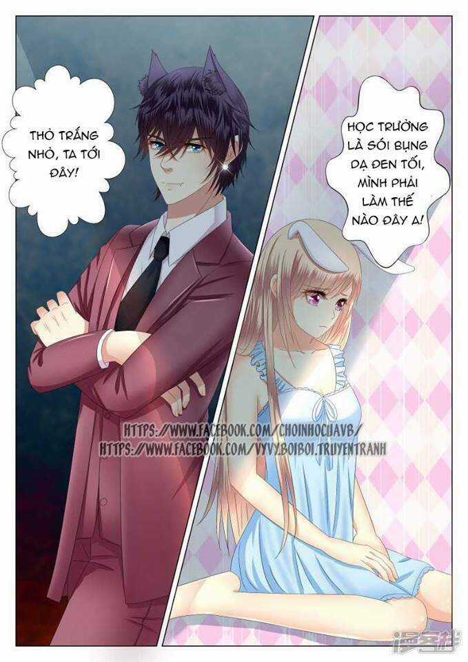 Phúc Hắc Hội Trưởng Thị Đầu Lang Chapter 3 trang 13