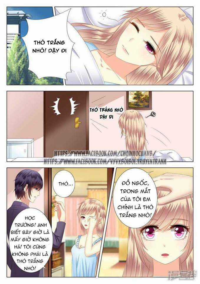 Phúc Hắc Hội Trưởng Thị Đầu Lang Chapter 3 trang 14