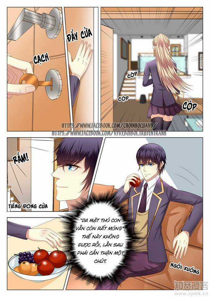 Phúc Hắc Hội Trưởng Thị Đầu Lang Chapter 5 trang 17