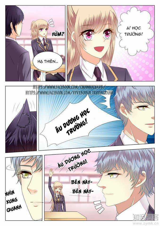 Phúc Hắc Hội Trưởng Thị Đầu Lang Chapter 5 trang 2