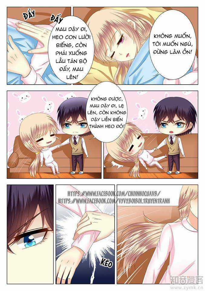 Phúc Hắc Hội Trưởng Thị Đầu Lang Chapter 6 trang 2