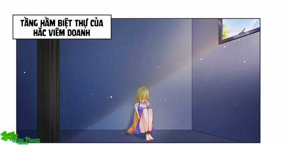 Phúc Hắc Tổng Tài Đừng Tới Đây Chapter 60 trang 1