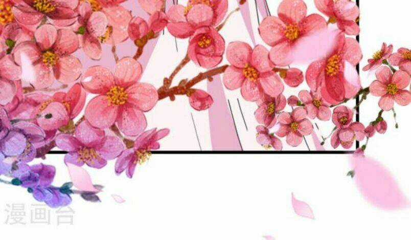 Phúc Hắc Vương Gia Đừng Làm Loạn Chapter 17 trang 29