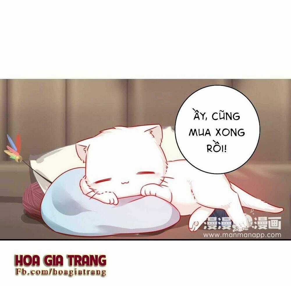 Phục Thù Thiếu Gia Tiểu Điềm Thê Chapter 15 trang 1