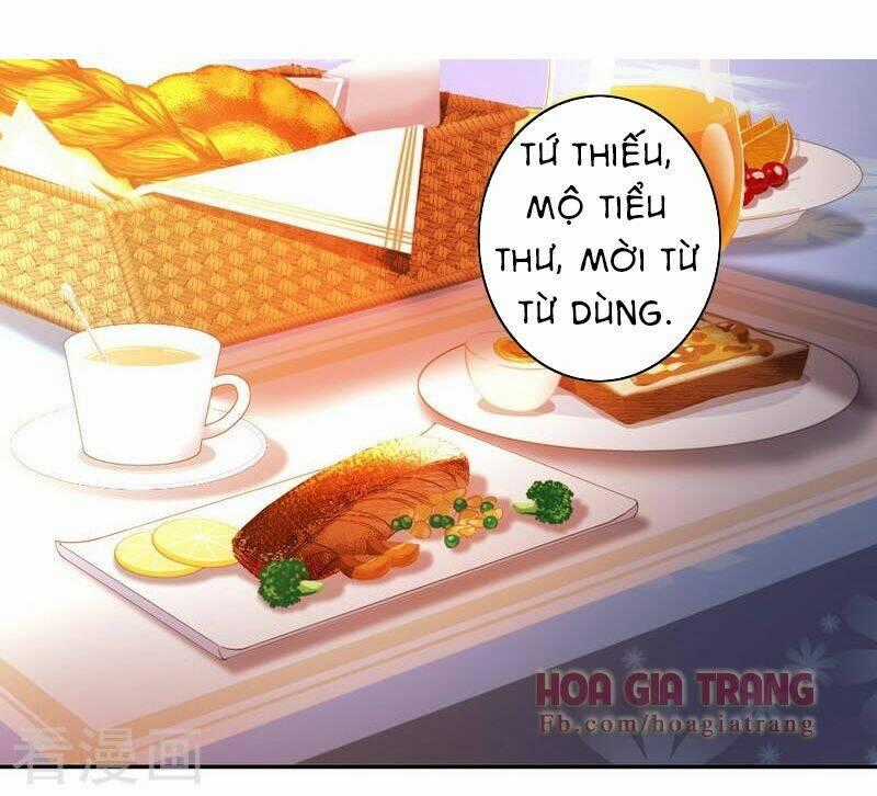 Phục Thù Thiếu Gia Tiểu Điềm Thê Chapter 21 trang 1
