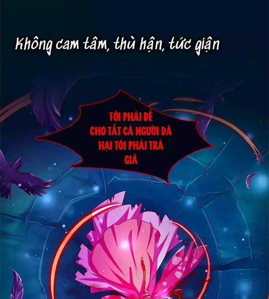 Phụng Lâm Thiên Hạ: Đệ Nhất Mỹ Nữ Chapter 0 trang 3